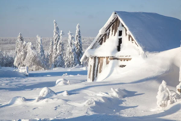 Mroźny Dzień Wiosce Domy Drzewa Pokryte Śniegiem — Zdjęcie stockowe