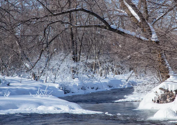 Rio Inverno Fluindo Entre Snowdrifts Arbustos Árvores Nevadas — Fotografia de Stock