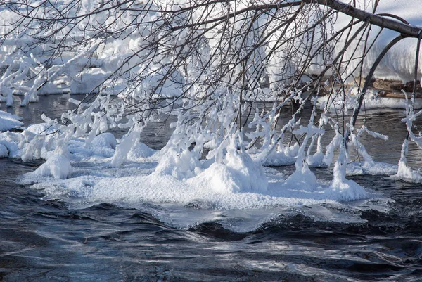 Río Invierno Que Fluye Entre Las Corrientes Nieve Los Arbustos —  Fotos de Stock