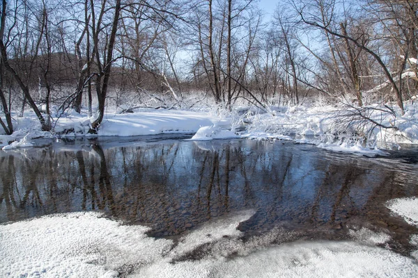 Zimní Řeka Tekoucí Mezi Závějemi Zasněženými Keři Stromy — Stock fotografie