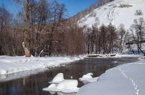 Rio Inverno Fluindo Entre Snowdrifts Arbustos Árvores Nevadas — Fotografia de Stock