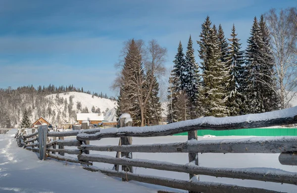 Zimowa Wioska Tolparovo Bashkortostanie Położona Górach Drzewa Ogrodzenia Dachy Domów — Zdjęcie stockowe