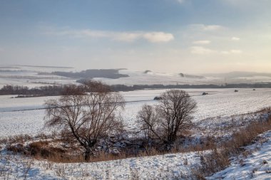 Kış manzarası. Tarlalar, saman yığınları karla kaplı dağlar..