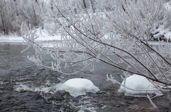 Arbres Couverts Givre Long Des Rives Une Rivière Non Gelée — Photo