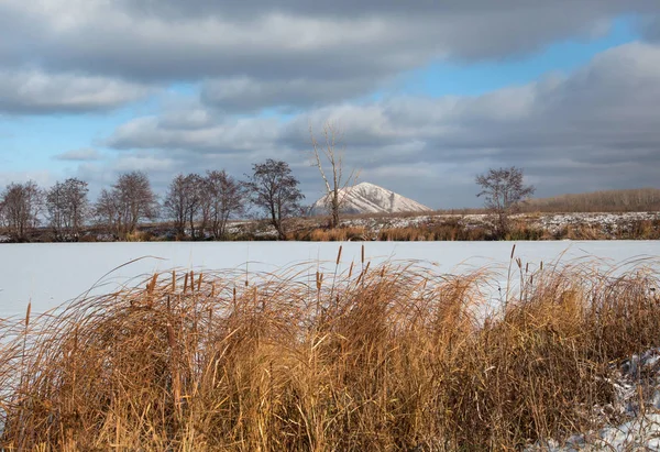 Cattail Growing Banks Frozen River Solitary Mountain — Stock Photo, Image