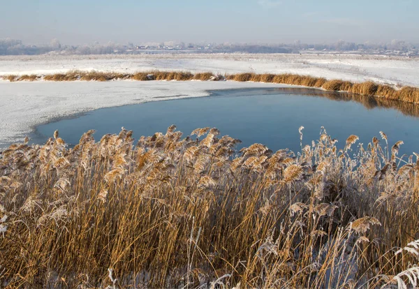 Улус Покритий Калюжею Березі Водойми Тлі Села Багато Вільного Місця — стокове фото