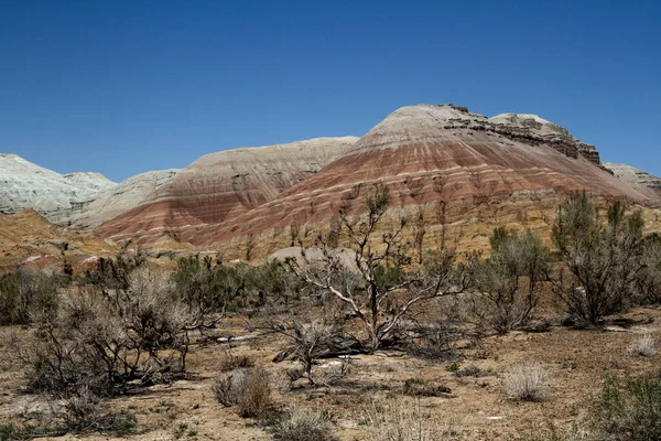 Colored Layered Aktau Mountains Kazakhstan Saxaul Bushes — Stock Photo, Image