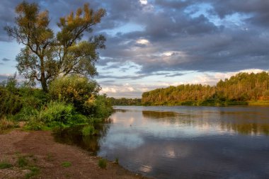 Parlak, güneş ışığı sabahın erken saatlerinde nehirde..