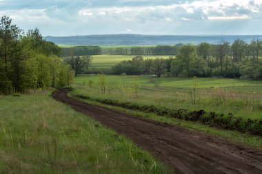 Bahar manzarası, nadir ağaçlar, dolambaçlı köy yolu, yağmurdan sonra parlak güneş ışığı..