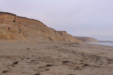 Drakes Sahili, Point Reyes Ulusal Sahili, Marin County, Kaliforniya