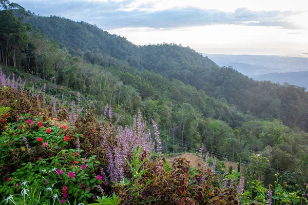 Schöne Landschaft mit Blick auf die Berge in Kota Kinabalu, Sabah, Malaysia — Stockfoto