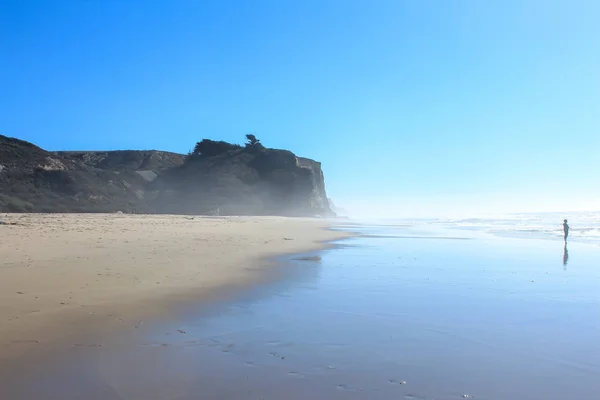 Vista panorámica del acantilado y la niebla a lo largo de la playa en Pomponio State Beach, California, EE.UU. — Foto de Stock