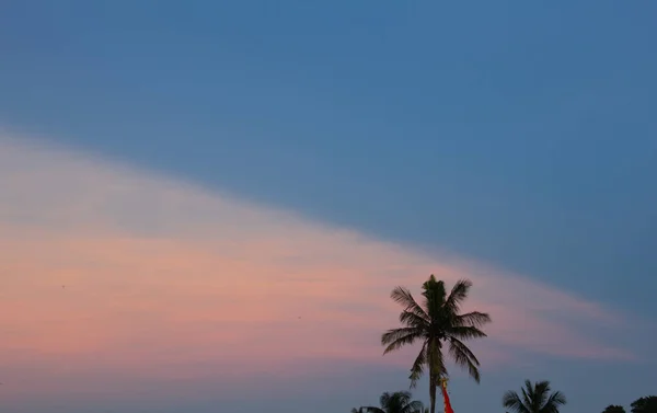 Prachtig uitzicht op de kokosboom met achtergrond van de avondlucht — Stockfoto
