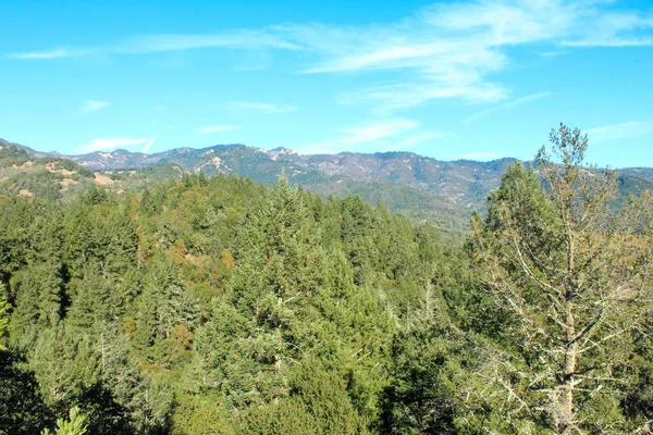 Landscape view of the Napa Valley, California, USA — ストック写真