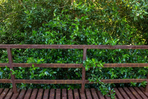View of hand railings and bridge in a park, Chennai, India with vegetation in background — Stock Photo, Image