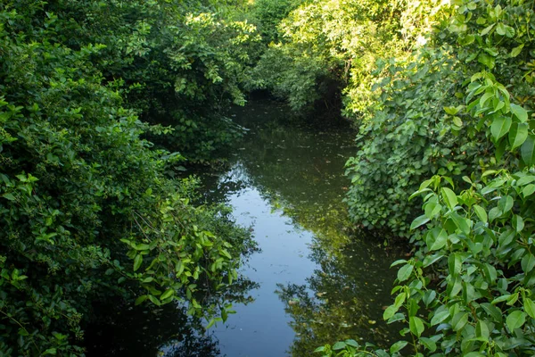 Mündung mit dichter Vegetation auf beiden Seiten, chennai, indien — Stockfoto