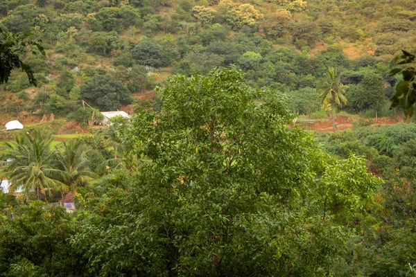 Vista das árvores e da pequena comunidade da aldeia perto de um outeiro, Salem, Tamil Nadu, Índia — Fotografia de Stock