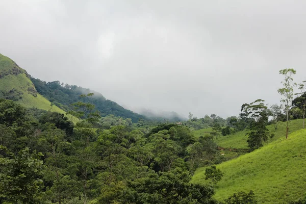Thekkady, Kerala, Hindistan 'daki batı ghatları boyunca dağların güzel manzarası.