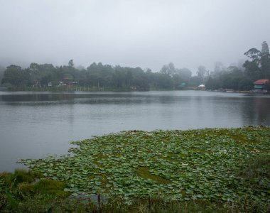 Manzaralı Yercaud Gölü Salem yakınlarındaki bir tepe istasyonunda, Tamil Nadu, Hindistan