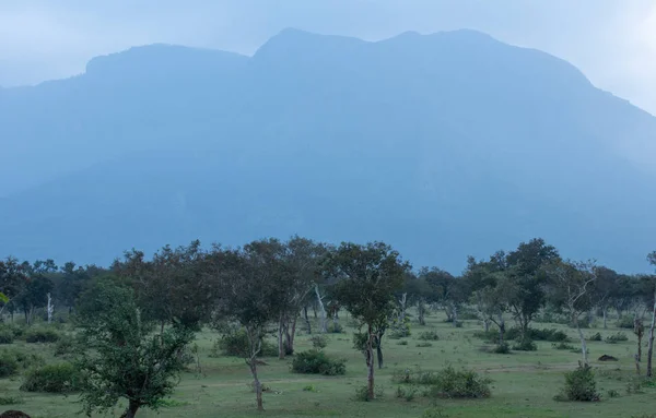 Schöne Landschaft mit Blick auf das Waldgebiet entlang Masinagudi, Mudumalai Nationalpark, Tamil nadu - Karnataka Staatsgrenze, Indien. — Stockfoto