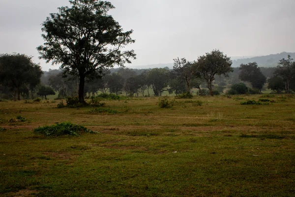 Bella vista sul paesaggio di una mattina nebbiosa a Masinagudi, Parco Nazionale di Mudumalai, Tamil Nadu - Karnataka State border, India . — Foto Stock