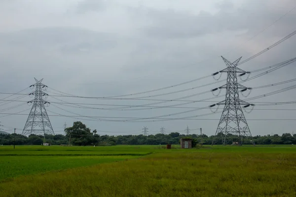 Widok słupa elektrycznego wzdłuż pól ryżowych, Tamil nadu, Indie — Zdjęcie stockowe