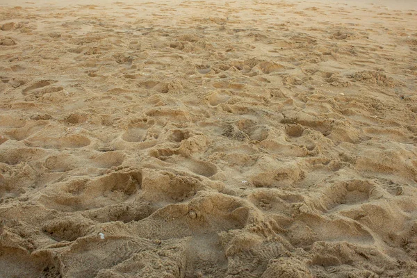 Areia Praia Com Pegadas Dos Visitantes Pulicat Beach Tamil Nadu — Fotografia de Stock