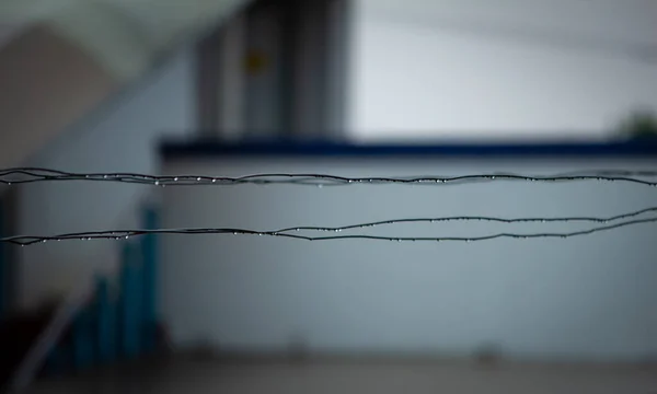 Gotas Agua Sobre Los Cables Metálicos Utilizados Para Secar Ropa —  Fotos de Stock