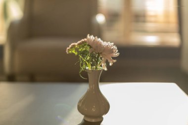 Pembe paskalya çiçekleri odadaki küçük vazoda duruyor.