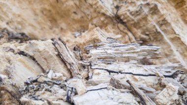 Eski çürük gövdenin dokusu, doğal arka plan, yakın plan.