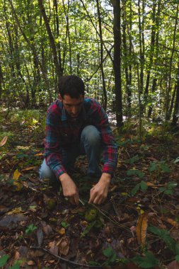 Genç adam sonbaharda ormanda bıçakla kestane açıyor, kestane topluyor, Montseny, Katalonya, İspanya 'da kestane topluyor.