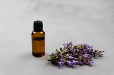 Esasen yağ ve bilgece adaçayı çiçekleri ile dolu koyu kehribar cam şişe, salvia sclarea, aromaterapi için. Naturopati, kır çiçekleri güzel kokular yayar.