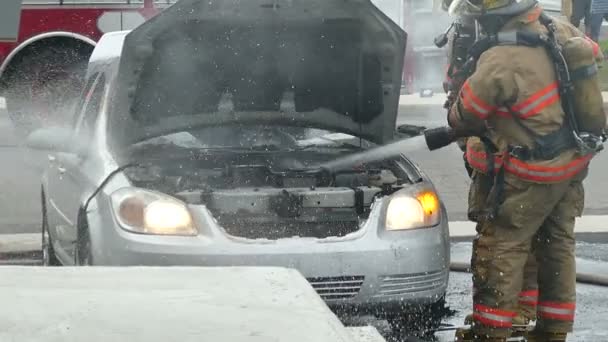 Brandweerlieden Die Een Autobrand Blussen Door Water Onder Motorkap Spuiten — Stockvideo