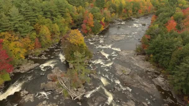 Drone Avançant Sur Rivière Automne Montrant Des Arbres Verts Jaunes — Video