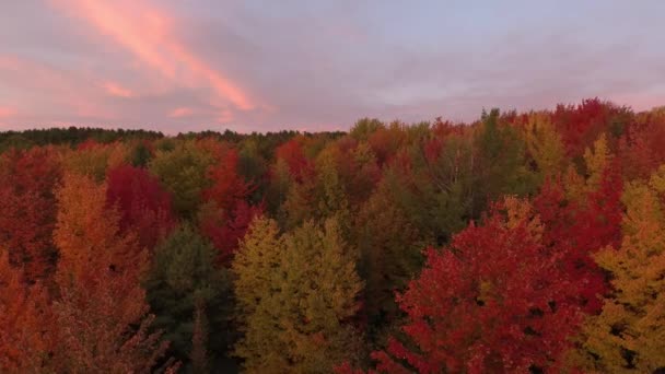 Increíble Disparo Filmado Por Dron Volando Lentamente Hacia Adelante Hacia — Vídeos de Stock