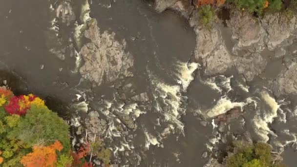 Pohon Yang Sangat Berwarna Warni Tepi Sungai Difilmkan Oleh Drone — Stok Video