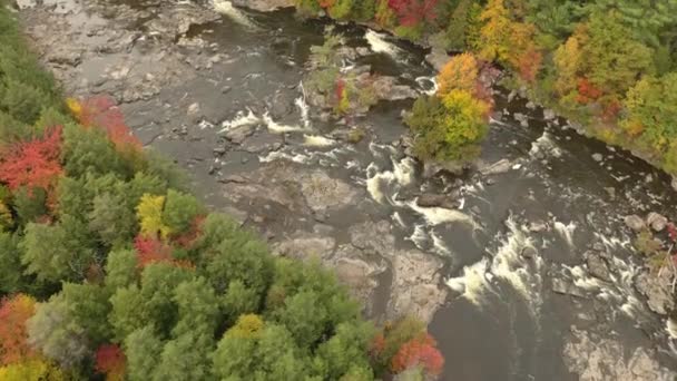 Poruszający Się Przodu Strzał Rzeki Jesienią Tworzący Wiry Prądy — Wideo stockowe