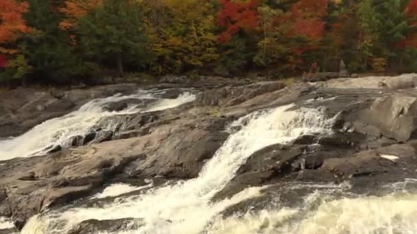 Drone Che Vola Lentamente Sopra Cascate Verso Foresta Autunnale — Video Stock