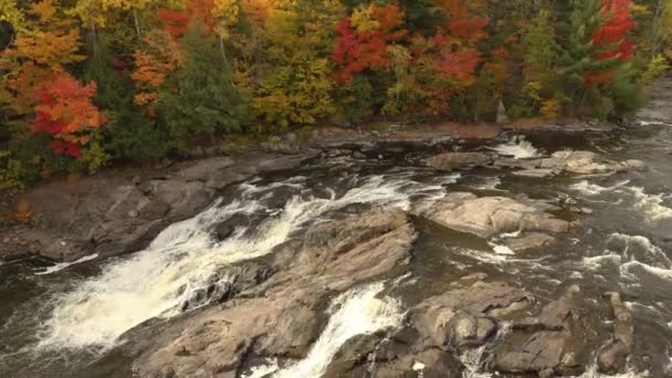 Drohne Fliegt Herbst Mit Niedriger Geschwindigkeit Richtung Flussrand Mit Schönen — Stockvideo
