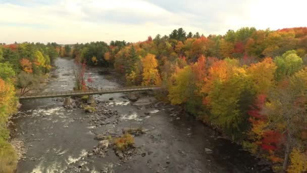 Drone Approchant Petit Pont Parc Naturel Traversant Rivière Automne — Video