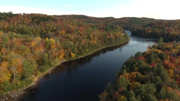 Drone Déplaçant Latéralement Sur Rivière Automne Avec Une Jolie Réflexion — Video