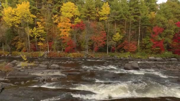 Drone s'élevant lentement au-dessus des rapides d'une rivière durant la jolie saison automnale du Canada 