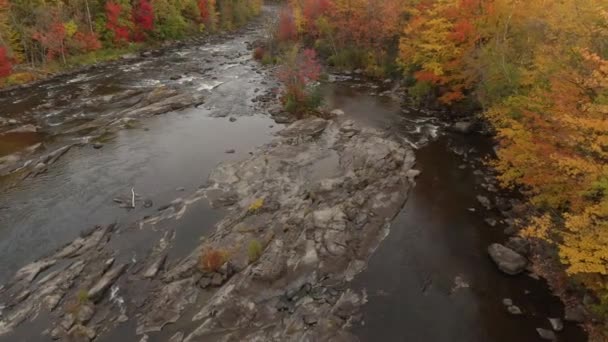 Sonbaharda Nehir Yatağını Ortaya Çıkaran Rocky Jeolojik Formasyonu Tarafından Izleniyor — Stok video