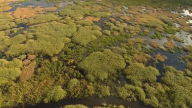 Uçsuz bucaksız sulak araziler görülebilen suları yansıtan bulutsuz hava araçları tarafından izleniyor.