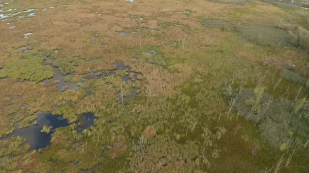 One Minute Aerial Sequence Marshlands Bird Flying Long Distance — Stock Video