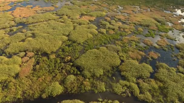 Vast Wetlands Viewed Drone Clouds Reflection Seen Water — Stock Video