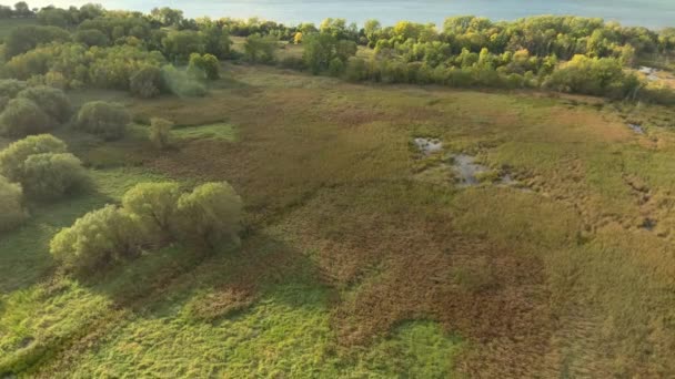 北アメリカの海側に数本の木がある広い湿地 — ストック動画