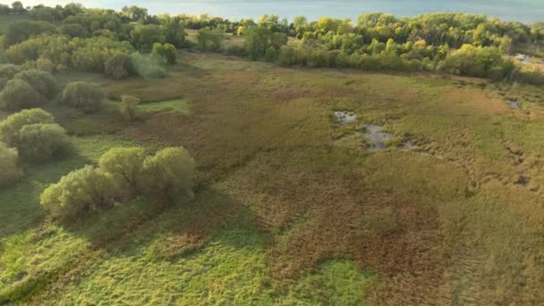 Wide Marshland Few Trees Side Ocean North America — Stock Video