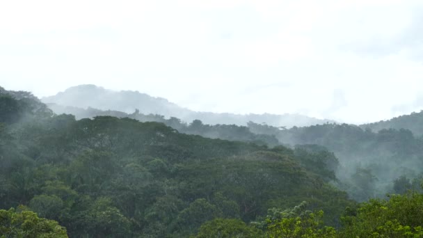 Lluvia Cayendo Sobre Montañas Selváticas Con Niebla Panamá — Vídeo de stock