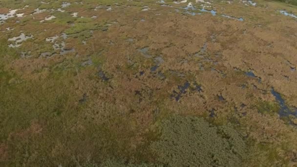 Photo de drone montante de terres humides avec caniches et étangs au début de l'automne 